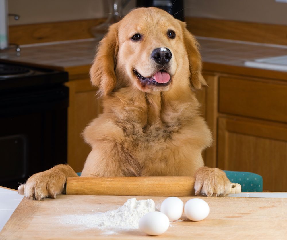 Question of the Week